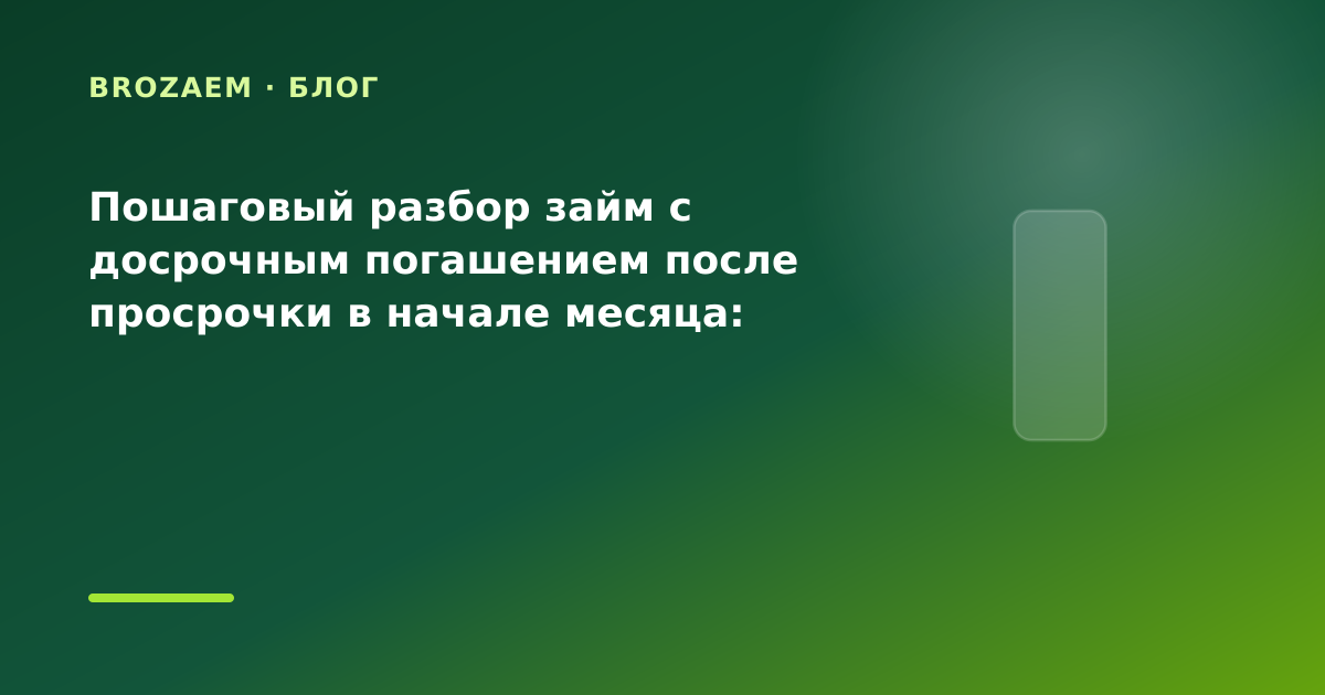 Пошаговый разбор займ с досрочным погашением после просрочки в начале месяца: разбор — иллюстрация Narod-N